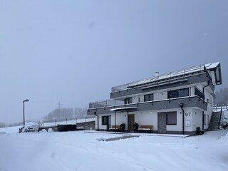 IMG_3181
