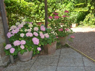 Appartamento per vacanze Tirrenia Registrazione all'aperto 5