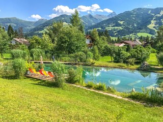 Rapplhof in Weißenbach mit Badeteich