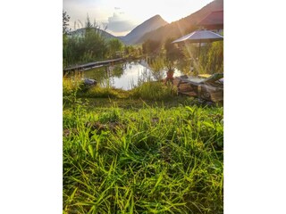 Rapplhof - Garten mit Teich