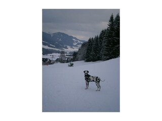 App. Ingrid - hier fühlen sich alle wohl!