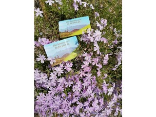 Sommercard Partner