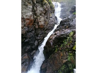 Wilde Wasser