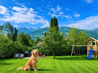 Garten mit Hund