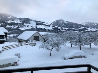 Blumen Studios_Ausblick