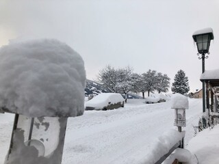 Blumen Studios - Winter