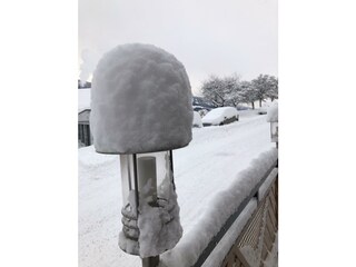 Blumen Studios - Winterlandschaft