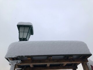 Blumen Studios_Winter