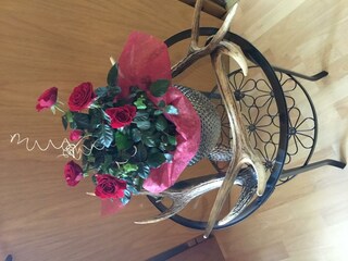 09EEE0F2-C8C8-4BDA-B511-F22947A3E5BA