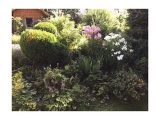 Haus Royer - Blumenbeet