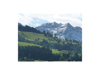 Große Familienwohnung - Ausblick