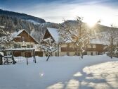 Moserhof-Hausfoto Winter