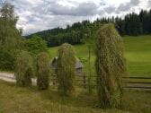 Moserhof - Hifler mit Stadl