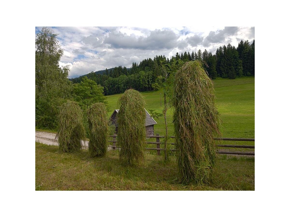 Moserhof - Hifler mit Stadl