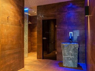 Skylodge Alpine Homes - Sauna Brunnen