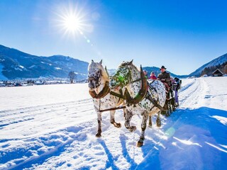 Pferdekutschenfahrt in Weißenbach