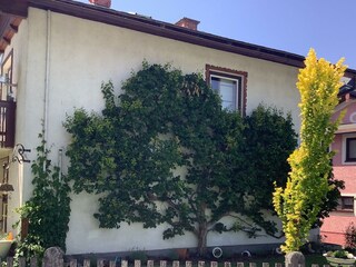 Ferienhaus Gruber seitliche Ansicht vom Garten