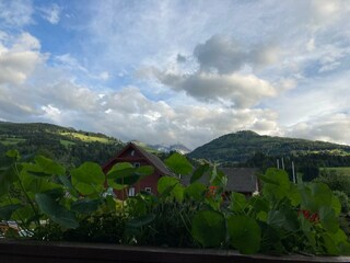 Zimmerausblick, Nachbarschaft, Bergblick