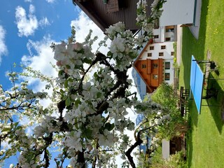 Lust zum Tischtennis spielen?