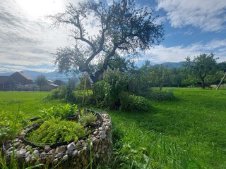 Unser Kräutergarten