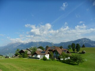 Hirzhof Sommer