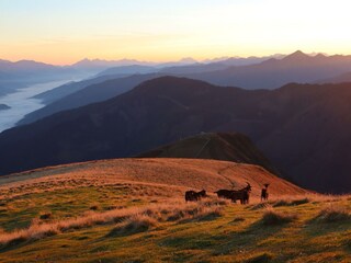 IMG_1634