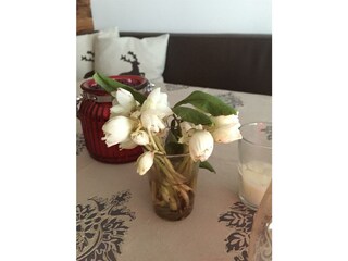 Appartement Hauser Kaibling - Schneerosen