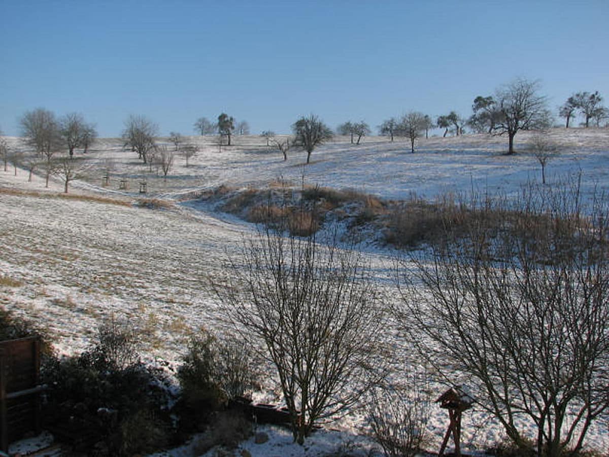 Blick vom Balkon