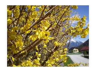 Feriendorf Stodertraum mit Gumpeneck