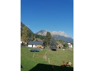 IMG_20231003_144918