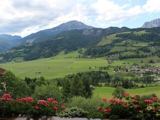 IMG_0652