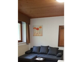 Apartment Claudia_Wohnzimmer1