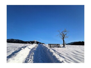 Gumpeneck_Winter