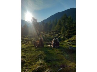 Maya und Benita auf der Alm
