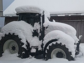 Steyr
