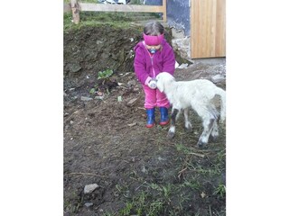 Mithilfe bei der Stallarbeit