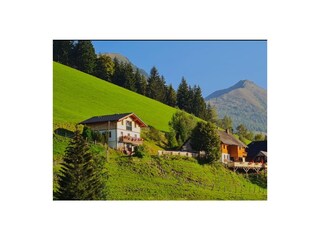 Screenshot 2024-02-12 205851