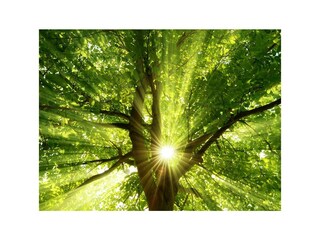 Hintergrund Sommer variante 1