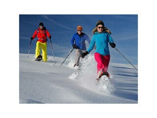 SchneeschuhWandern Gruppe