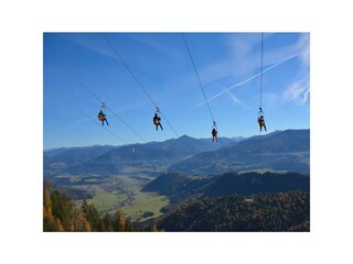 ZIP Line