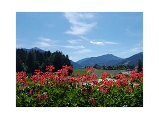 Aussicht Balkon Haus Pehab