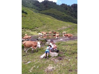 IMG_20160724_121610