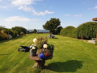 Blick in den Garten