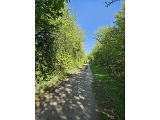 Fahrradweg zur Stadt