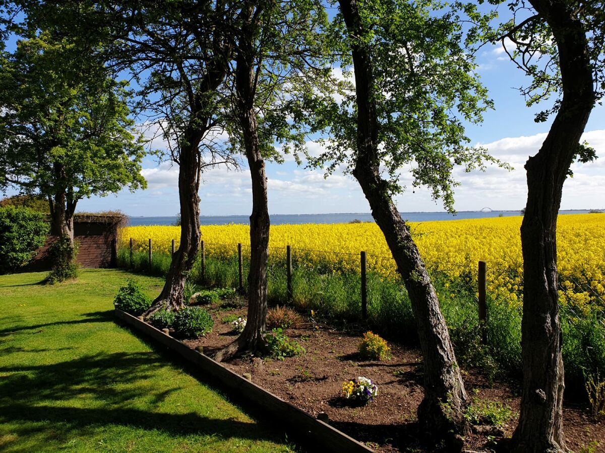 Ferienhaus direkt am Strand, Heiligenhafen, Frau Angela Steinwender