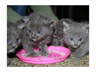 5c61224614e645cb_978c0b2f5c634188