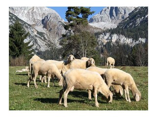 118ff8c62c74803f_b996d55aea34de3c