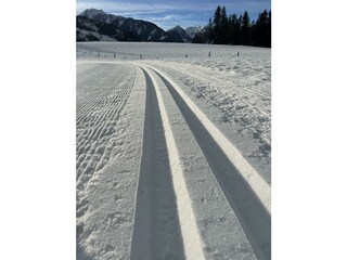 Loipe vor Haus Landzauber