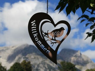 Apartment Ramsau am Dachstein Outdoor Recording 11
