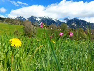 Apartment Ramsau am Dachstein Outdoor Recording 97